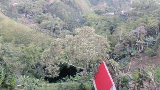 Cabaña Natura GREEN - 3