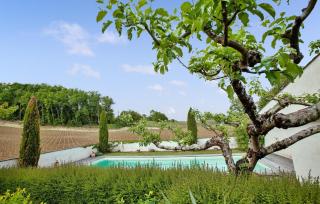 Les Charmes - Saint-Cibard - 7