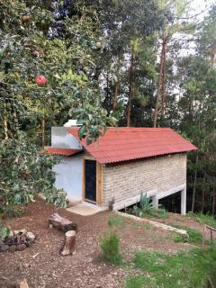 Cabaña en el bosque - Camotepec - 8
