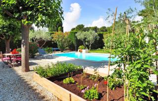 Bastide Vatole - Maussane les Alpilles - 6