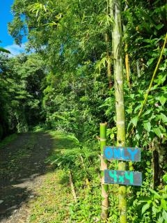 Vulkan Arenal Amazing View Lodge 4 WD - El Castillo de la Fortuna - 9