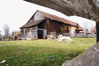 Country House Ivančan - Molve - 4