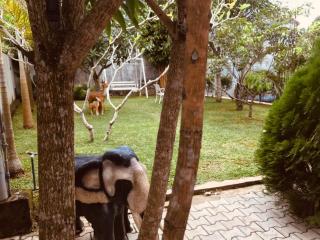 Chanas Home - 3