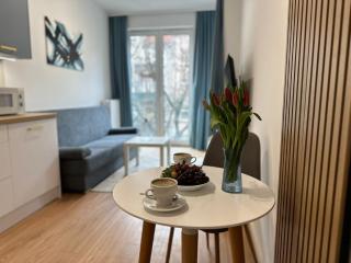 Złote Apartamenty 24 - Legnica - 6