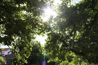 Ferienwohnung mit großem Garten und Blick zum See - 7