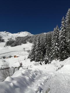 Superbe studio aux 7 Laux - La Ferrière - 9