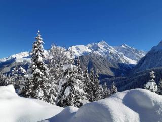 Superbe studio aux 7 Laux - La Ferrière - 7