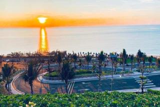 Apec Mandala Cham Bay Mũi Né S2411 - Ấp Long Sơn - 5