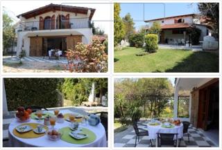 VILLA ELENI - Khalkoútsion - 0