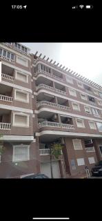 Viola - Torrevieja - 9