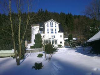 Haus am Waldrand - Meschede - 0