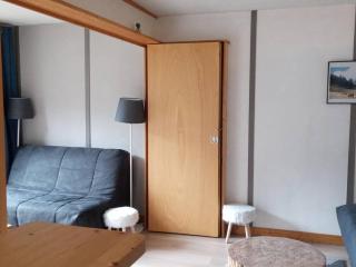 A LOUER-STUDIO-avec accès piscine-ST JEAN D'AULPS COFI-34 - FR-1-573-71 - 5