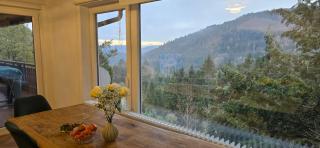 Wohnung im Schwarzwald mit Panorama Blick - Kleines Wiesental - 8
