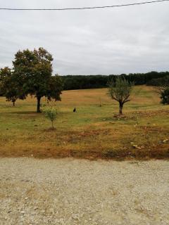 Gîte du Gouthé - Le Brouilh - 0