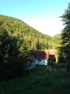 Cabana Valea Stanciului - Răchiţele - 4