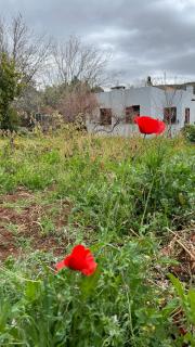 Villa privée réservée aux familles - Arrougou - 0