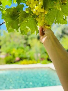 CHAMBRE D’HÔTE CHARLAMBIAS - 9