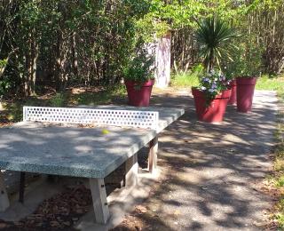 Location à la semaine Mobil-home 6 personnes dans Camping en Provence - Mallemort - 6