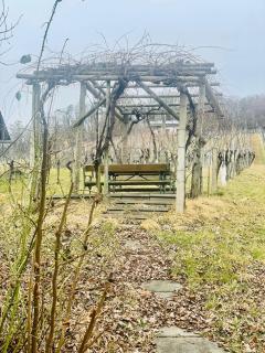 Kellerstöckl am Rosenberg Romantik pur - Straden - 6