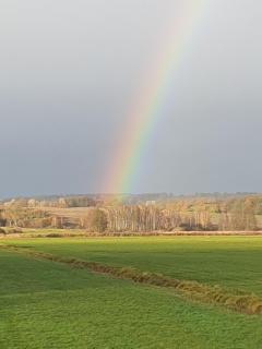 Bungalow 1Eickhof - Warnow - 5