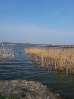 Ferienwohnung 62 OG Niermann - Müritz - 3