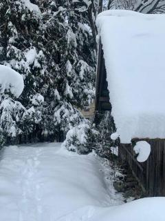 Ferienhaus // Waldlerhaus - Bayern - Bayerischer Wald - Windberg - 5