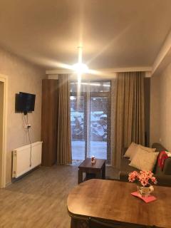 bakuriani didveli rezidensi G6 - 0