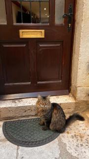 Crocant house - Dubrovnik - 7