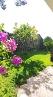 Loft le Pavoncelle - Ittiri - 1