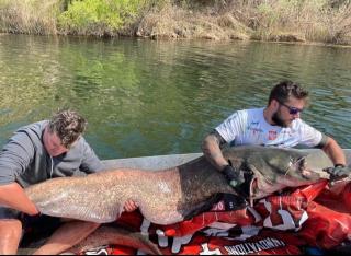Big Fish River Ebro Resort - Riba-roja d'Ebre - 9