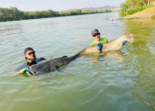 Big Fish River Ebro Resort - Riba-roja d'Ebre - 5