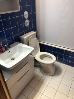 Schwarzwald Apartment mit Terasse - Schönwald - 9