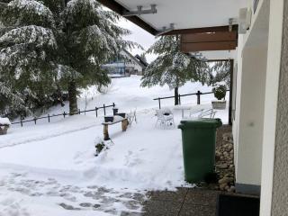 Schwarzwald Apartment mit Terasse - Schönwald - 8