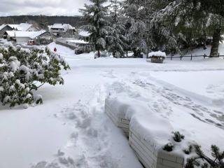 Schwarzwald Apartment mit Terasse - Schönwald - 1