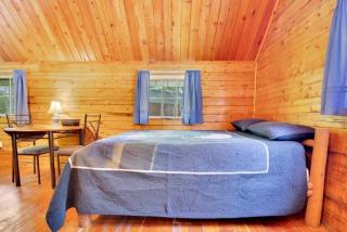 Secluded Rustic Cabin with Views - 5