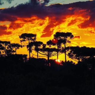 Hibisco Home Hotel - 4