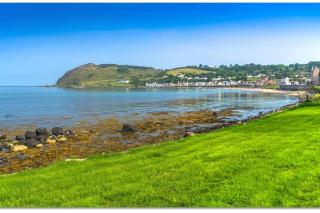 Walnut Apartment Larne - Larne - 0