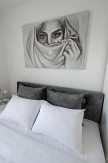 Apartman Albijanić - Sremska Kamenica - 6
