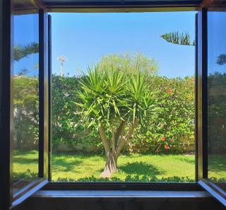 Villa Flora: un'oasi verde a 100 m dal mare - 4