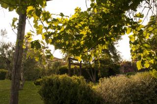Podere Turicchio - Orbetello - 6