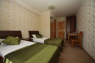 Ostrov Hotel - 8