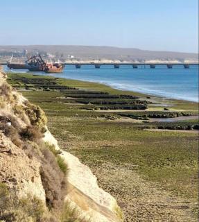 Barrancas al norte view whales - Puerto Madryn - 0