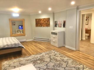 Cute one bedroom by Airport - Minneapolis - 5