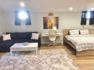 Cute one bedroom by Airport - Minneapolis - 0