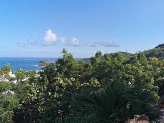 Studio with privacy & wonderful view - Dawn Beach - 8