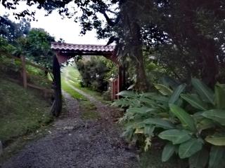 Cabaña Bosque del Río - Monteverde - 6