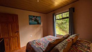 Casa Euphonia Monteverde - Monteverde - 4