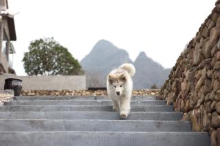 Zhangjiajie JOY Hotel -New Hotel ,Avatar Mountain View, Walking Distance to the Middle Gate of Forest Park,Quite Entrance, Less Crowed & No Queue,Free well-prepared Breakfast,Free Self-Service Laundry & Drying, Attraction Tickets Serivce,Nice Host - 1