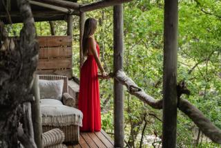 Summerfields Rose Retreat and Spa - Hazyview - 3