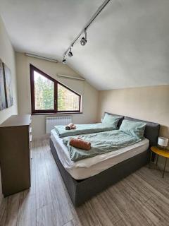 Modern Borovets apartment A61 - Borovets - 5